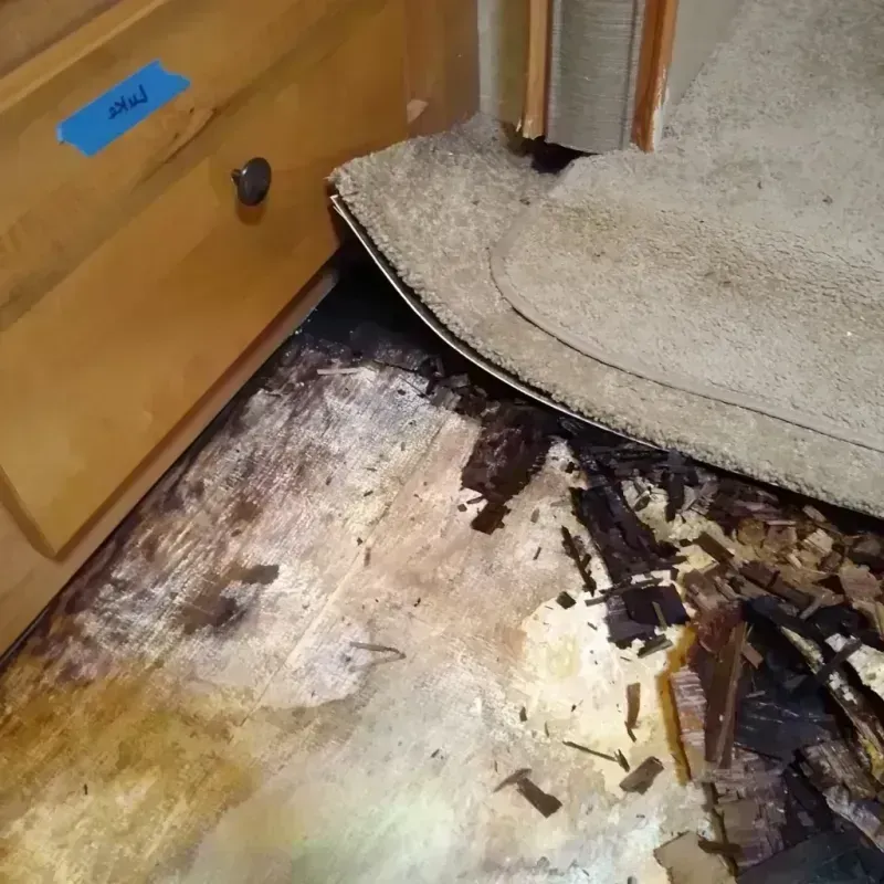 Best Wood Floor Water Damage Service in Melrose, MA